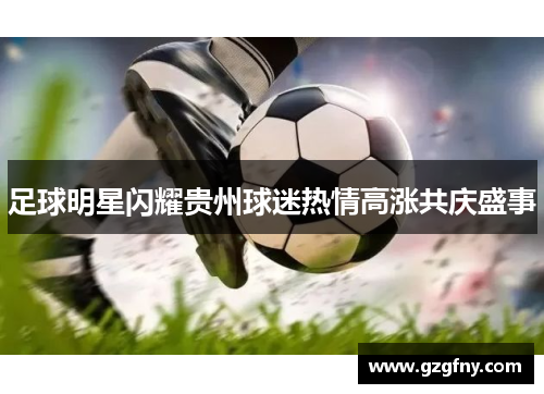 足球明星闪耀贵州球迷热情高涨共庆盛事